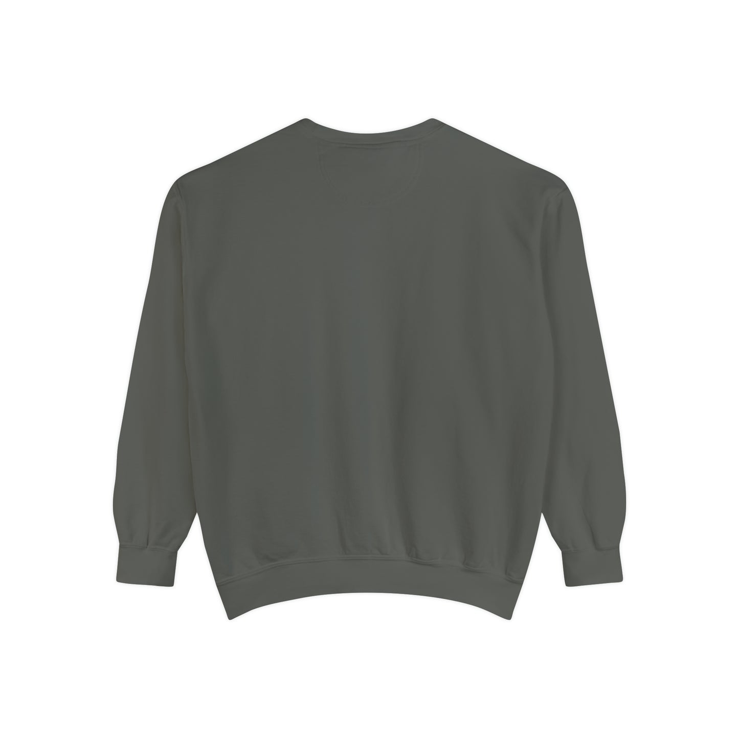 Be a kind Human Sweatshirt | Retro Sweatshirt