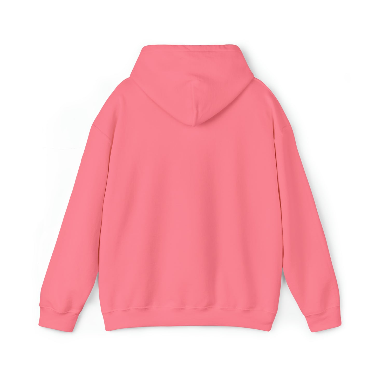 Worthy Hooded Sweatshirt | Christian Apparel