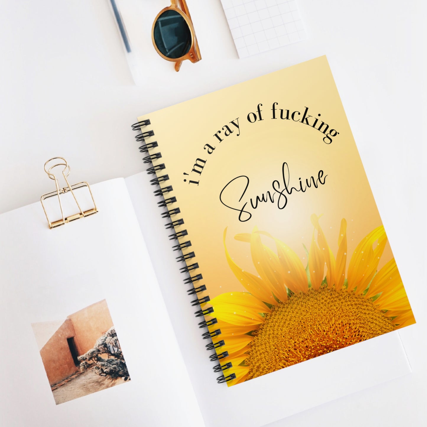 I'm a Ray of Fucking Sunshine | Spiral Notebook